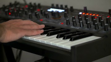 Opening // Sequential Pro 3, Elektron Digitakt, Guitar