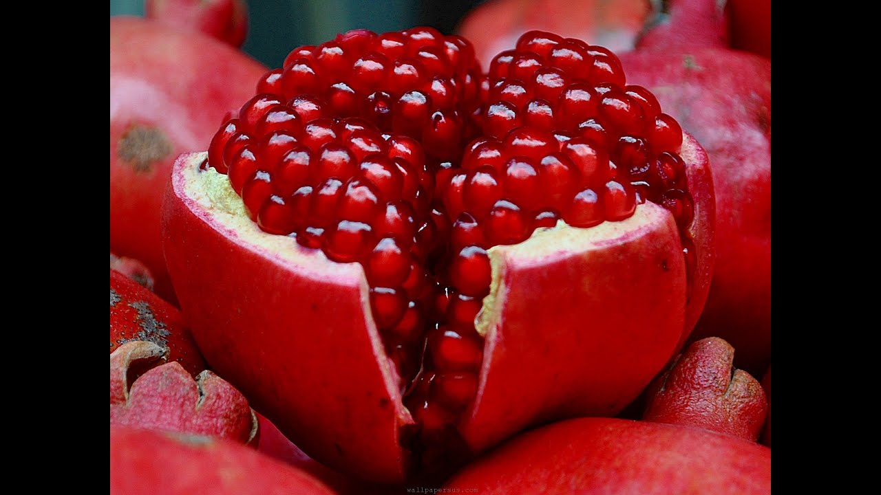 Картинки по запросу Pomegranates