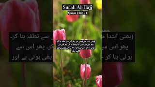 Surah Hajj | Surah Al-Hajj | #shorts #quran #pureverse #trendingquranayat #قرآن #سورة