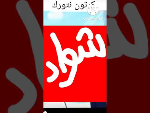 الفرق بين سبيستون و كرتون نتورك
