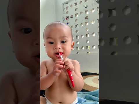 Bayi gosok gigi