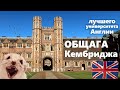 Ужасы Общежития Кембриджа - обзор общаги Кембриджского Университета