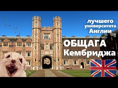 видео: ОБЩАГА КЕМБРИДЖа. Румтур общежития - Кембриджский Университет