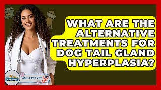 What Are The Alternative Treatments For Dog Tail Gland Hyperplasia? - Ask A Pet Vet