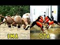 Major Differences in IMA and OTA - Indian Military Academy vs Officers Training Academy