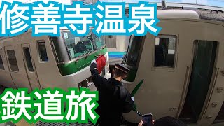 【特急踊り子】修善寺温泉旅行