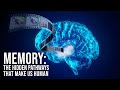 Memory the hidden pathways that make us human