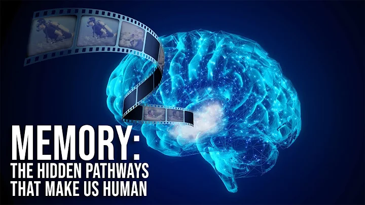 Memory: The Hidden Pathways That Make Us Human - DayDayNews