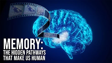 Memory: The Hidden Pathways That Make Us Human