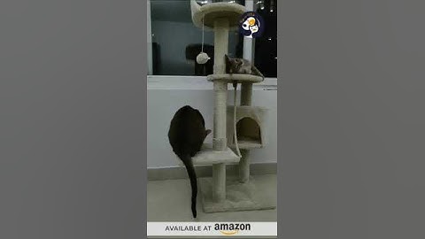 Rio And Me Ultimate Thick Cat Tree with Toy and Scratching Post 🐾