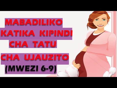 Video: Je! Fetusi Inaonekanaje Katika Wiki 6 Za Ujauzito