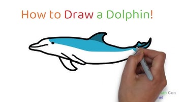 How to draw a Dolphin - Bé tập vẽ cá heo