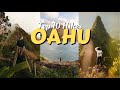 The BEST Hikes in Oahu 🥾 Hawaii Travel Guide