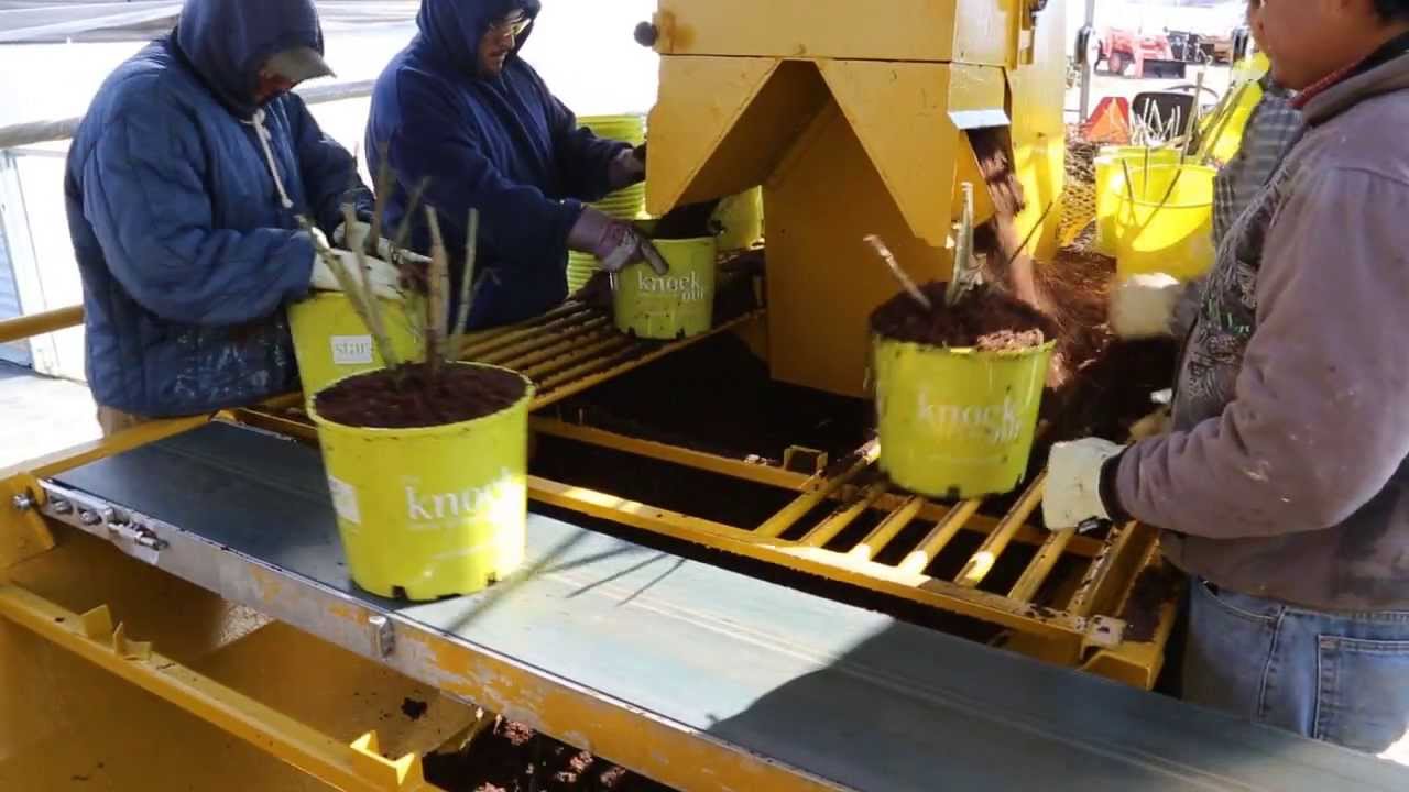 Centerton Nursery - New Bareroot Transplanting System