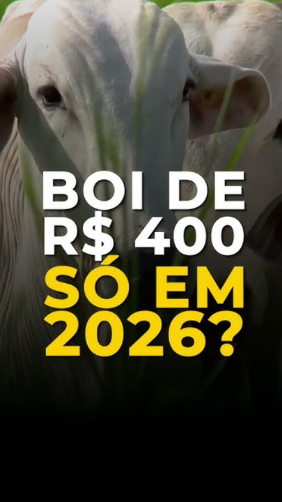 Boi De R$ 400 Só Em 2026?