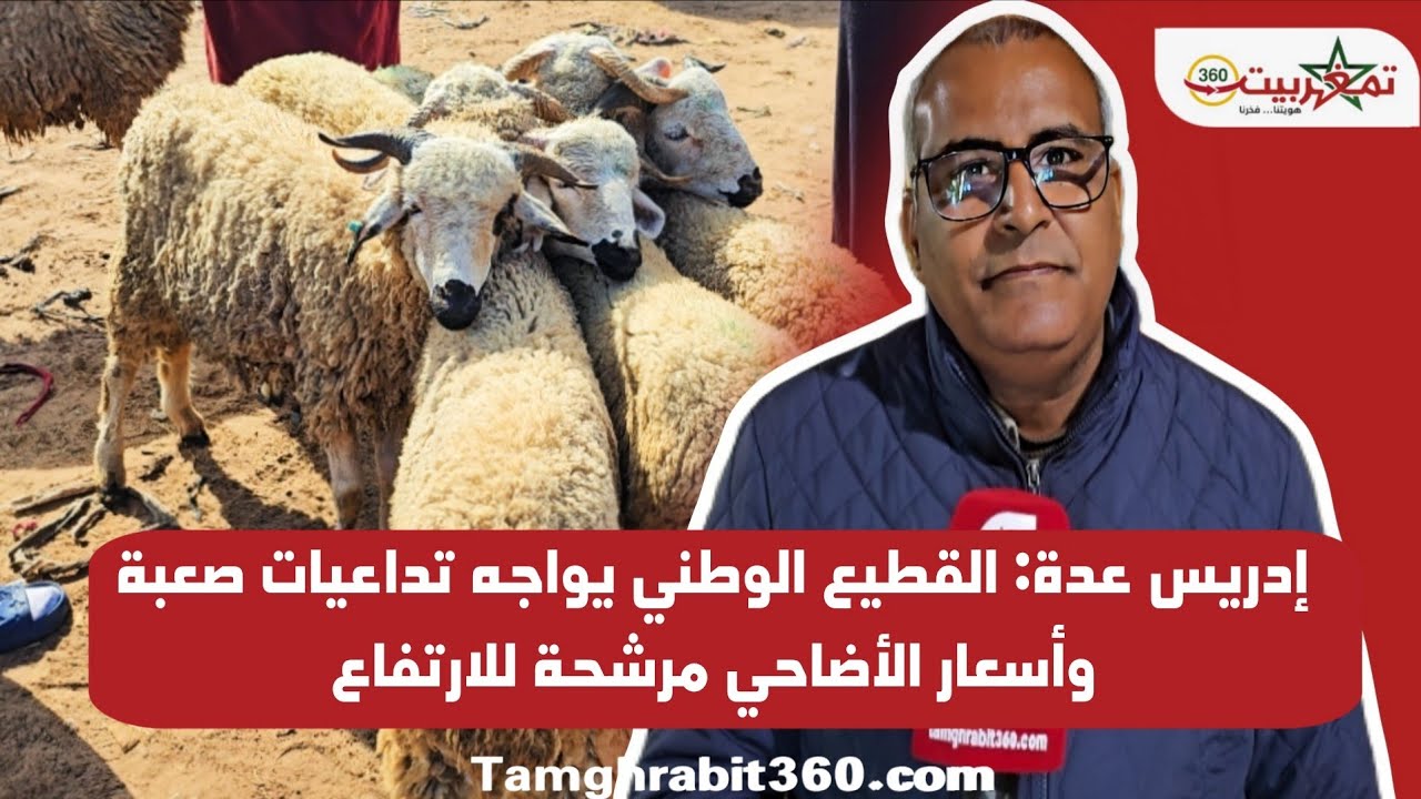 إدريس عدة: القطيع الوطني يواجه تداعيات صعبة وأسعار الأضاحي مرشحة للارتفاع