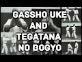 Gassho uke and Tegatana no bogyo (Aikido Shodokan)