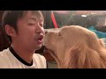 しつこくきっかとちゅーする