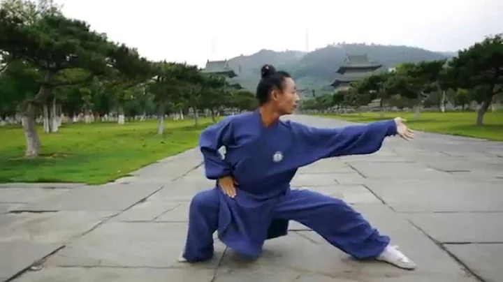 Wu Dang XiangYi Quan -- Liu Wen