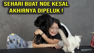 BARU KALI INI NOE MAU MELUK LARAS