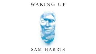 Famous Waking Up - Sam Harris 48 - What Is Moral Progress - Peter Singer Animals Net Worth