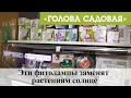 Голова садовая - Эти фитолампы заменят растениям солнце