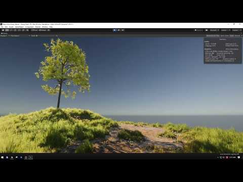 Grassy Field Intro