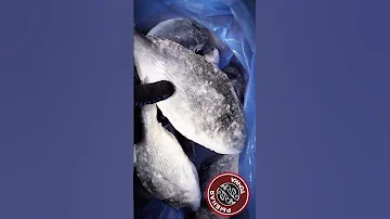 Это ШОК! Целую неделю шок цена на Дорадо! Рыба для #пп и худеющих! Любишь Дорадо? Пиши комменты