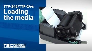TSC TTP-243/TTP-244: Loading the media
