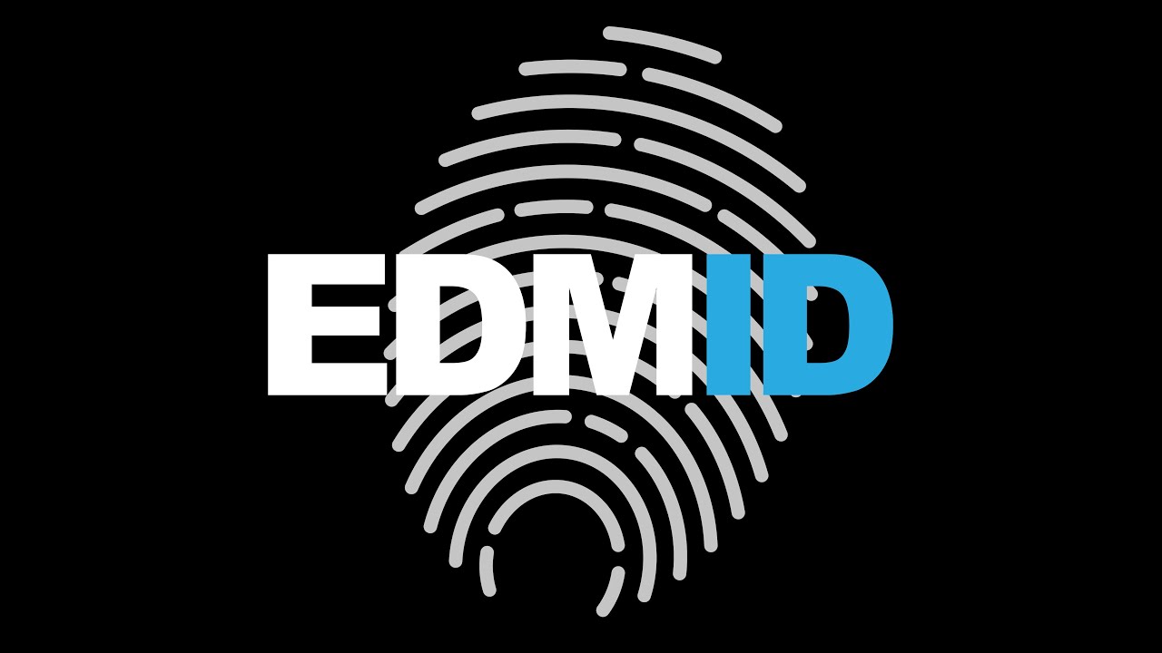 EDM Identity Year In Review 2015