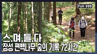 간절한 마음으로 숲에서 희망을 찾는 사람들 | 스며들다-장성 편백나무 숲의 기록 72시간 (KBS 20090912 방송)