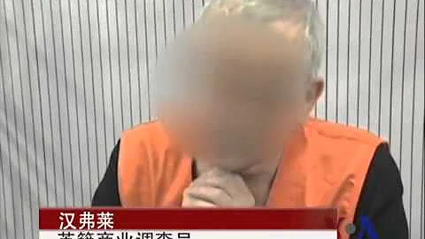 外籍商業調查員因被控在華非法獲取個人信息被捕 - 天天要聞