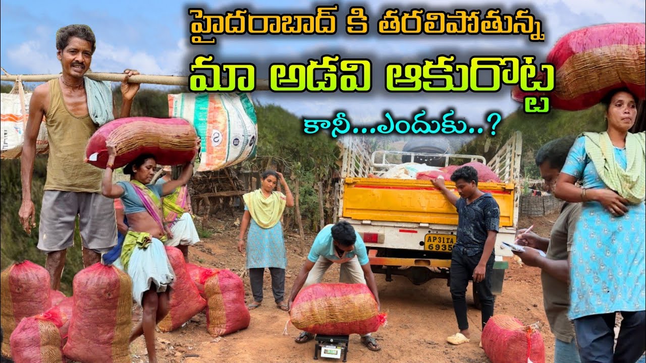 అడవిఆకుకి బలేగిరాకీ :From heart of the forest: Tribal Products En Route to Hyderabad 