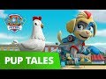 PAW Patrol | Chick-a-lotta | Mighty Pups Rescue Episode | PAW Patrol Official & Friends!