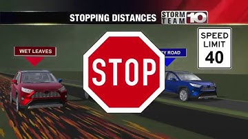 Driving on wet leaves