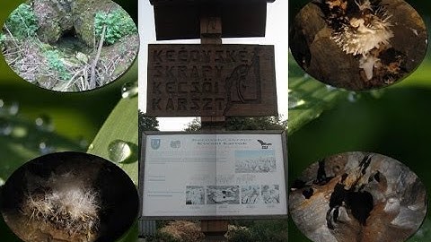Carpathian World Heritage  - Caves of Slovak Karst - Ochtinská Aragonite Cave