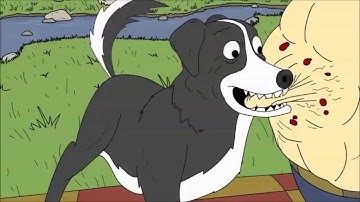 Mr. Pickles (intro _ theme song) 2013