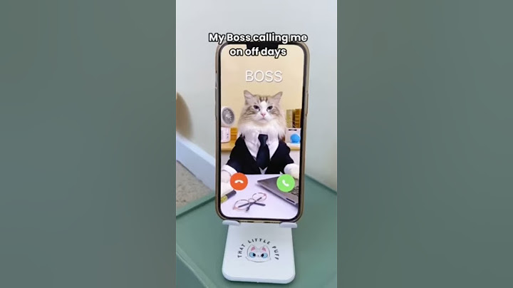 Puff's guide on handling weekend calls from the boss! #Boss Boundary #WeekendWarrior #thatlittlepuff