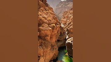 سورة البينة عيد فطر مبارك عليكم يارب❤️