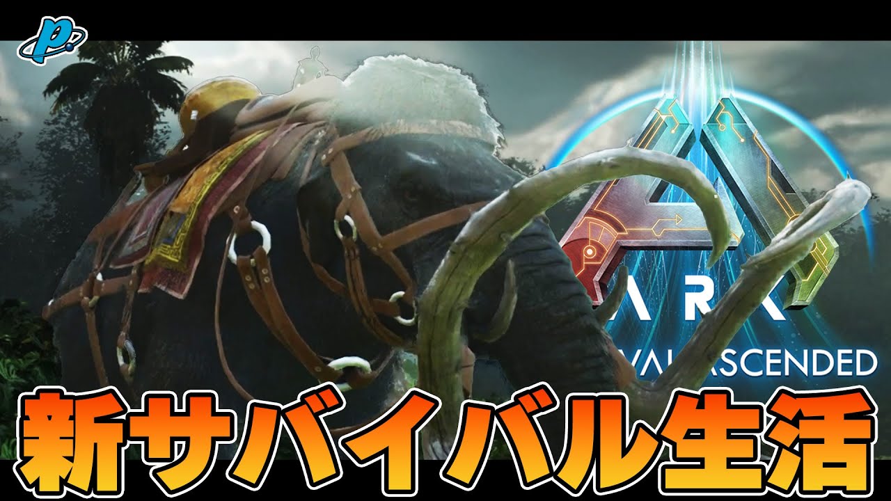 サメのヒレ　空想アパートメント ② A set that includes a great white shark and a hammerhead