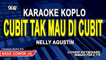 CUBIT TAK MAU DI CUBIT KARAOKE KOPLO  NADA PRIA   COWOK NELLY AGUSTIN