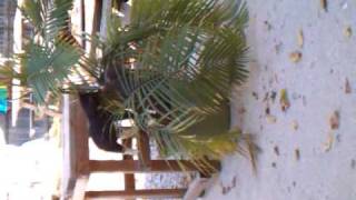 Dude Gets The Boot - Edit