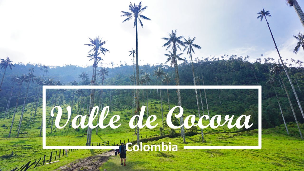 Walking Tour Valle De Cocora Salento Colombia Youtube