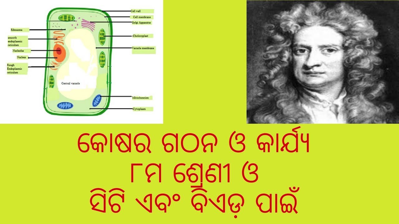 କୋଷର ଗଠନ ଓ କାର୍ଯ୍ୟ। Cell structure and function in ODIA (part-1) for  standard 8 and CT/BED exam - YouTube