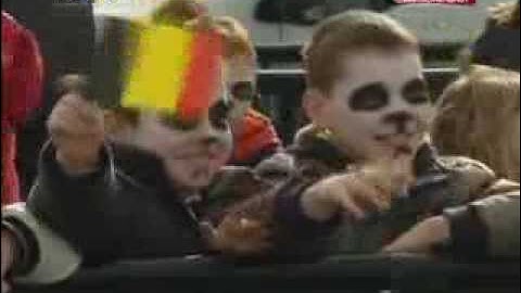 Two giant pandas arrive in Brussels