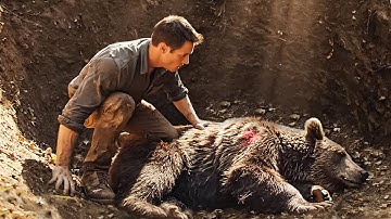 Rescuing a Bear from a Deep Pit – An Unexpected Encounter with a Giant Python | Wildlife Rescue