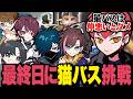 スクリム最終日に猫バス構成に挑戦してみるCptたち【OW/オーバーウォッチ】