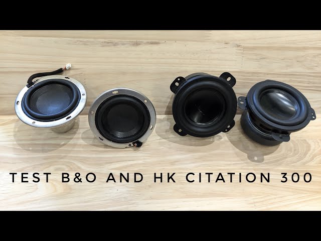 Test củ loa tháo rời HK Citation 300 & B&O