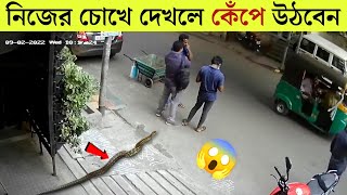 লোকটি জানতো না ! সাপ তার পিছনে অপেক্ষা করছে | Caught on Camera | Mayajaal | Rohosso Tube