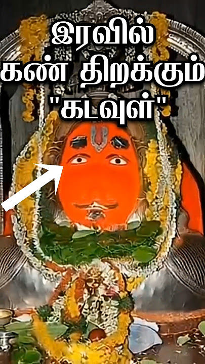 The Five Deities Who Wake Up at Night | Tamil Devotional Shorts #Karuppasamy #Muneeswaran#tamilsh...